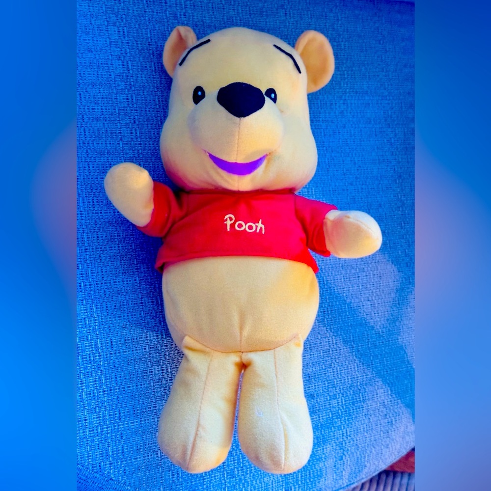 Disney Winnie the Pooh Teddybear